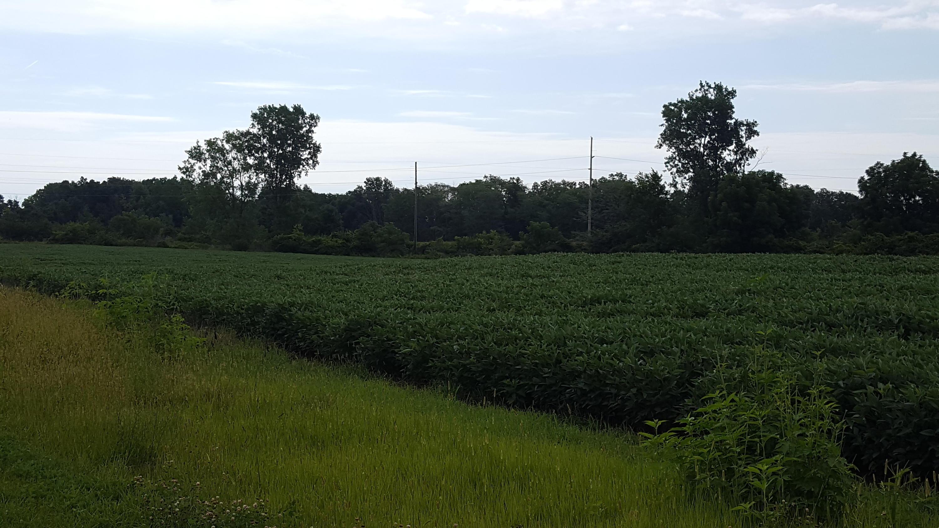 5997 County Road 9 Edison, OH 43320 - Photo 6 of 8