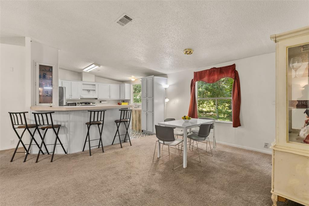 3002 Southwest 127th Avenue Webster, FL 33597 - Photo 4 of 22