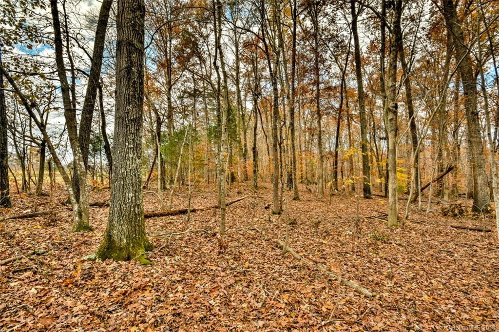 1 Furnace Road Iron Station, NC 28080 - Photo 4 of 16 Gallery Image 4