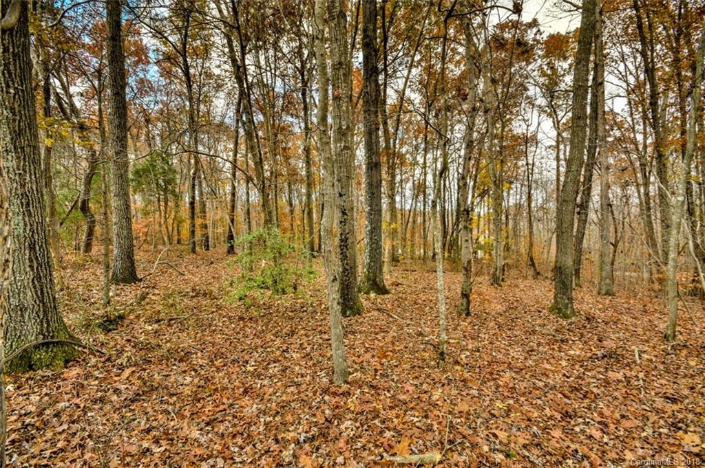 1 Furnace Road Iron Station, NC 28080 - Photo 5 of 16 Gallery Image 5