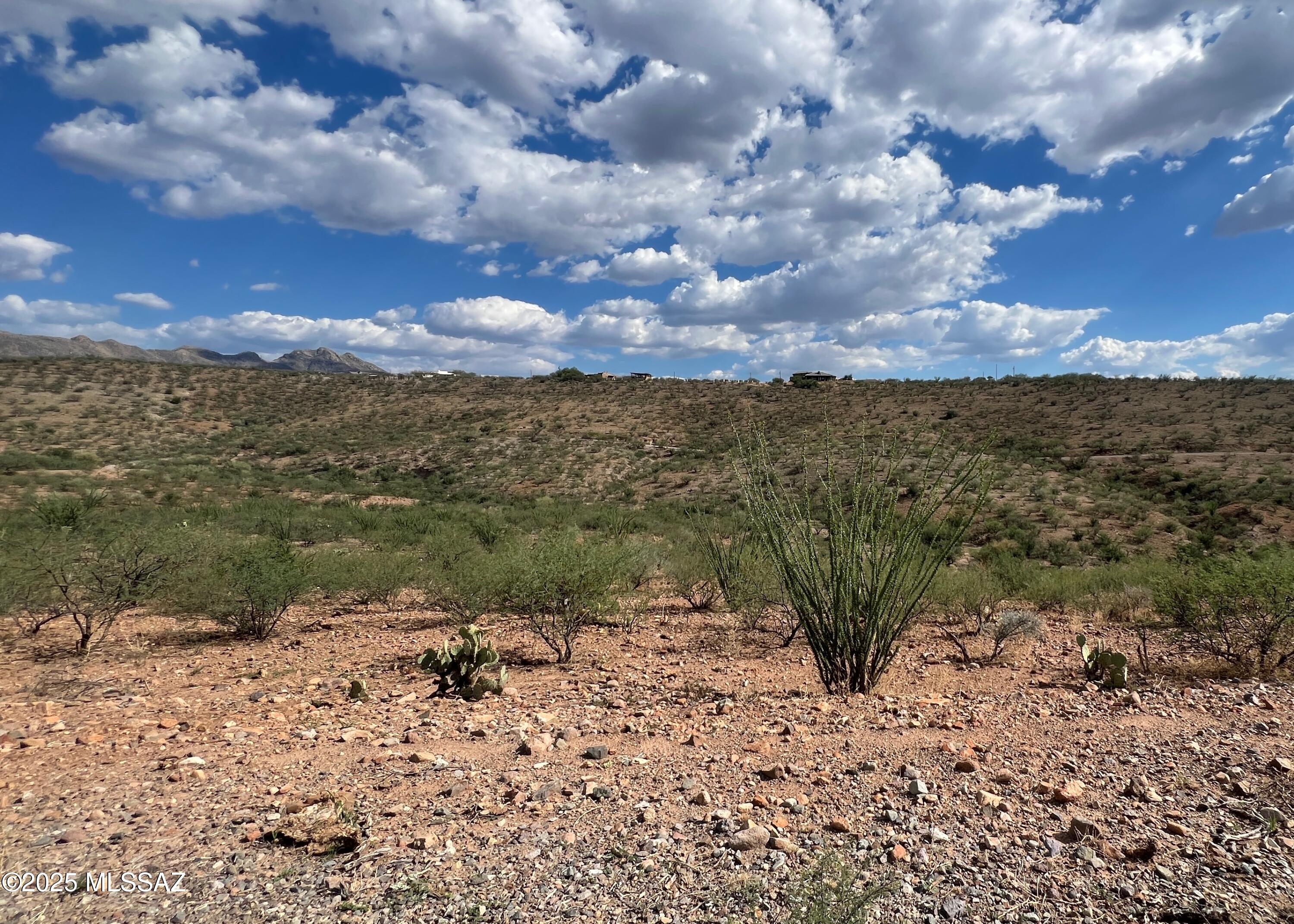 1854 Camino China, Unit 68 Rio Rico, AZ 85648 - Photo 1 of 7 South View from Road