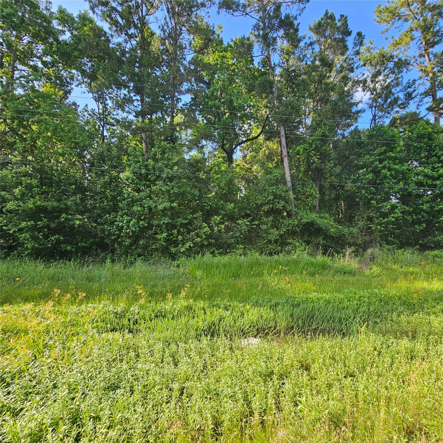 a view of yard with green space