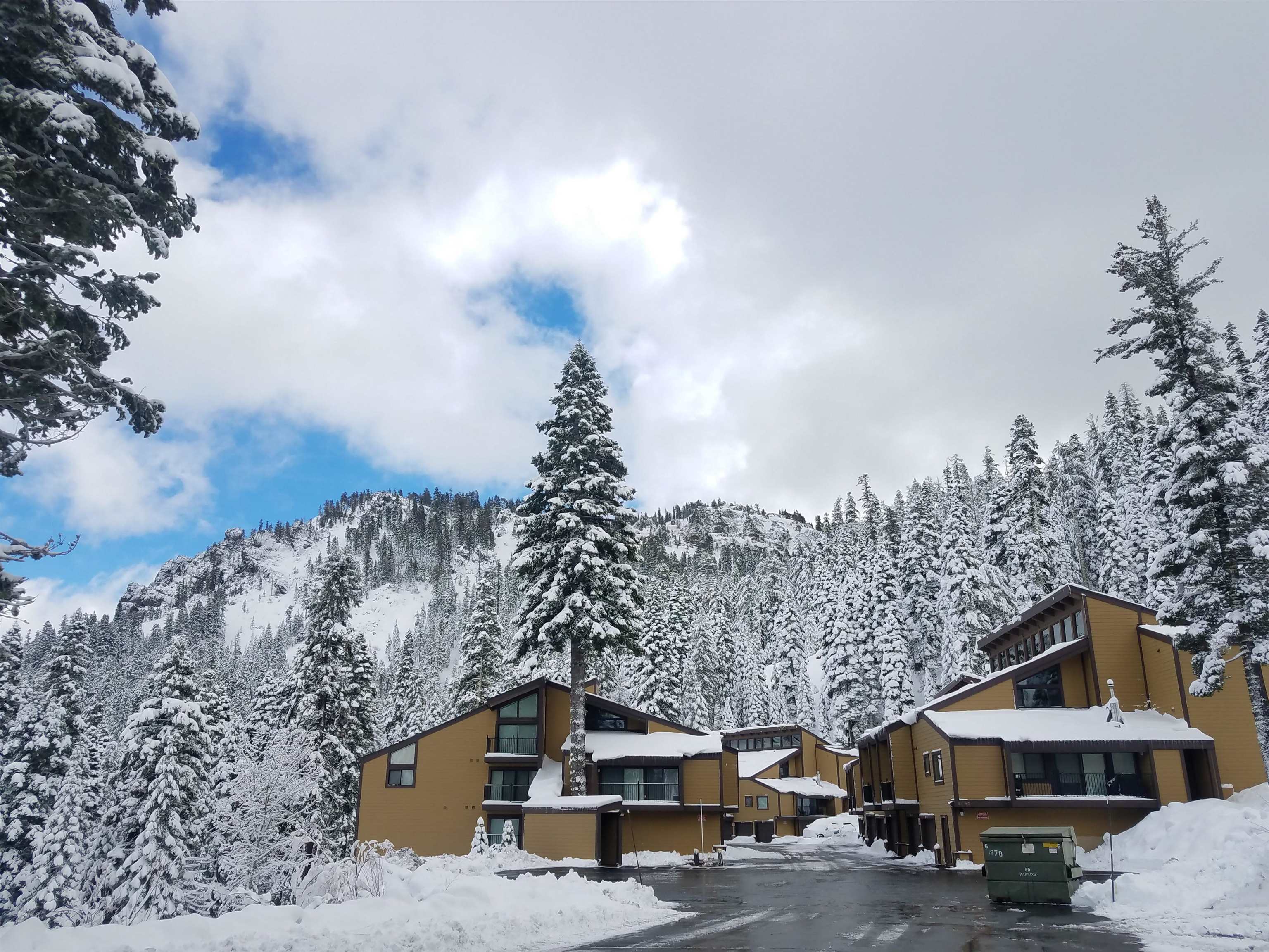 2090 Chalet Road, Unit 4 Alpine Meadows, CA 96146 - Photo 4 of 28