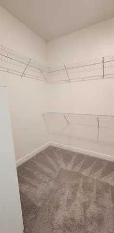 a view of a room with racks on the wall