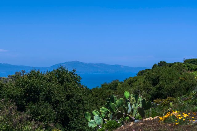 $2,681,250 | 1812 La Coronilla Drive, Santa Barbara, CA 93109