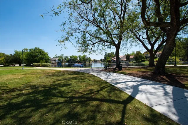 a view of a park with large trees