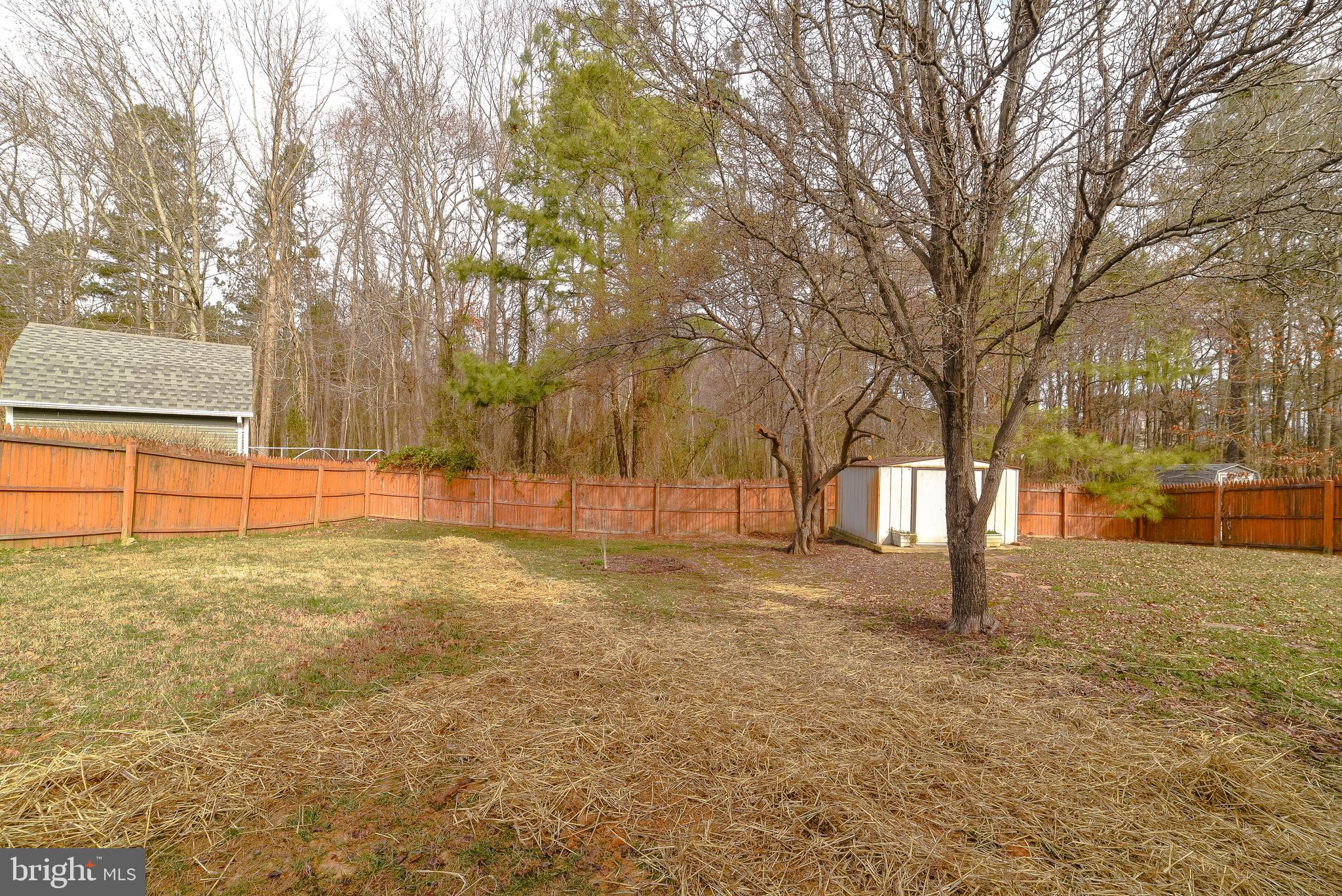 46890 Bryan Road Lexington Park, MD 20653 - Photo 12 of 47 Nice backyard with fencing