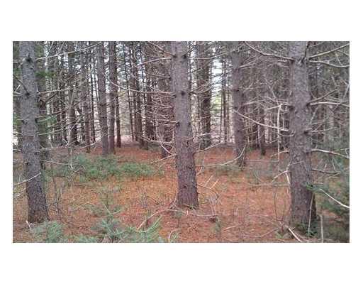 Lot 3 Pine Road Hersey, ME 04765 - Photo 5 of 6 Land/Lot.