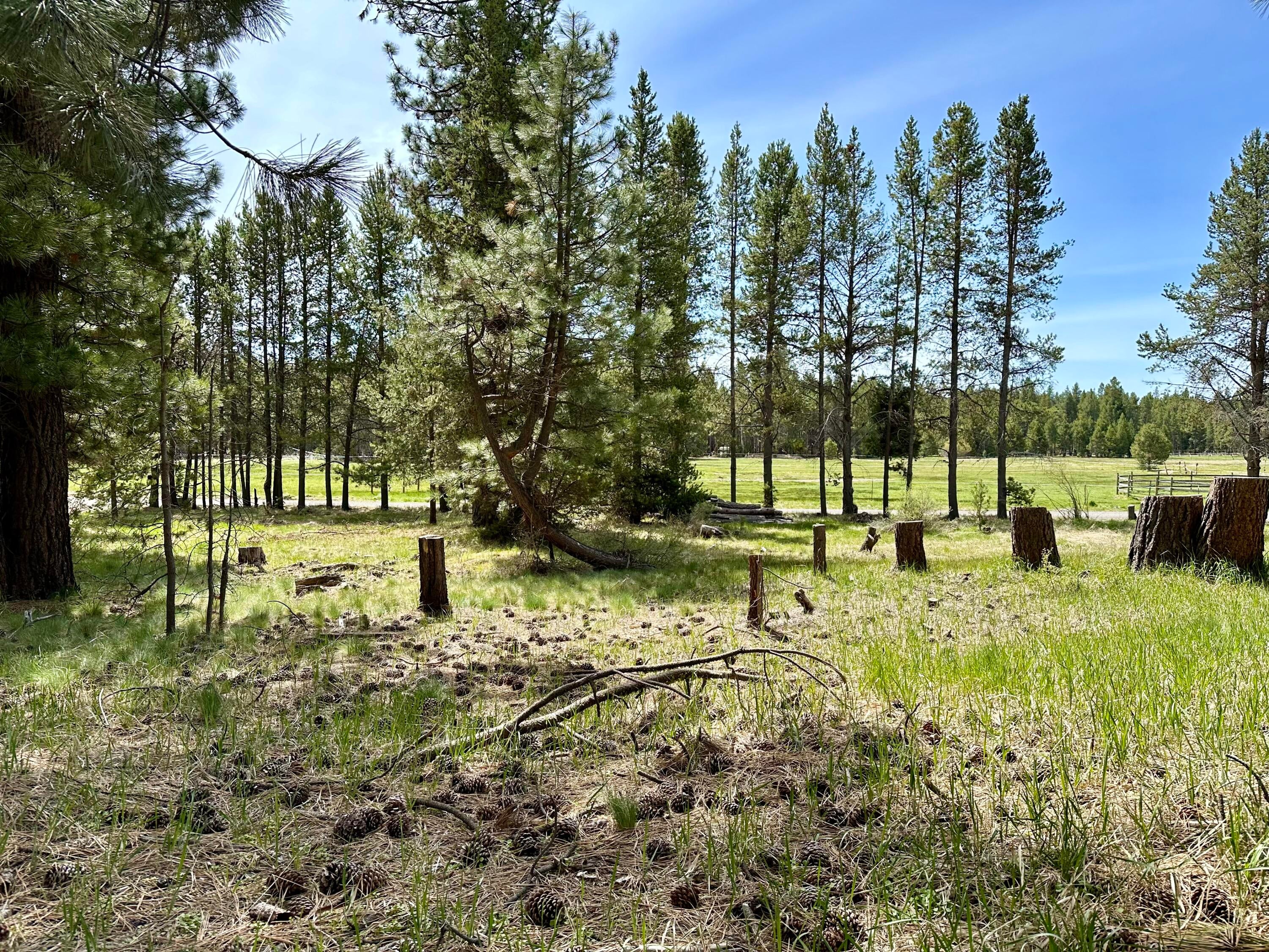 16912 Elsinore Road Bend, OR 97707 - Photo 13 of 15 IMG_0334