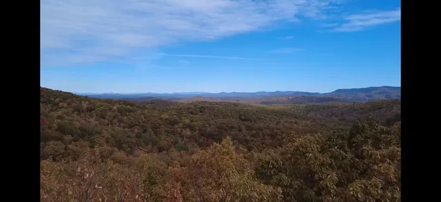 a view of a city with lush green forest