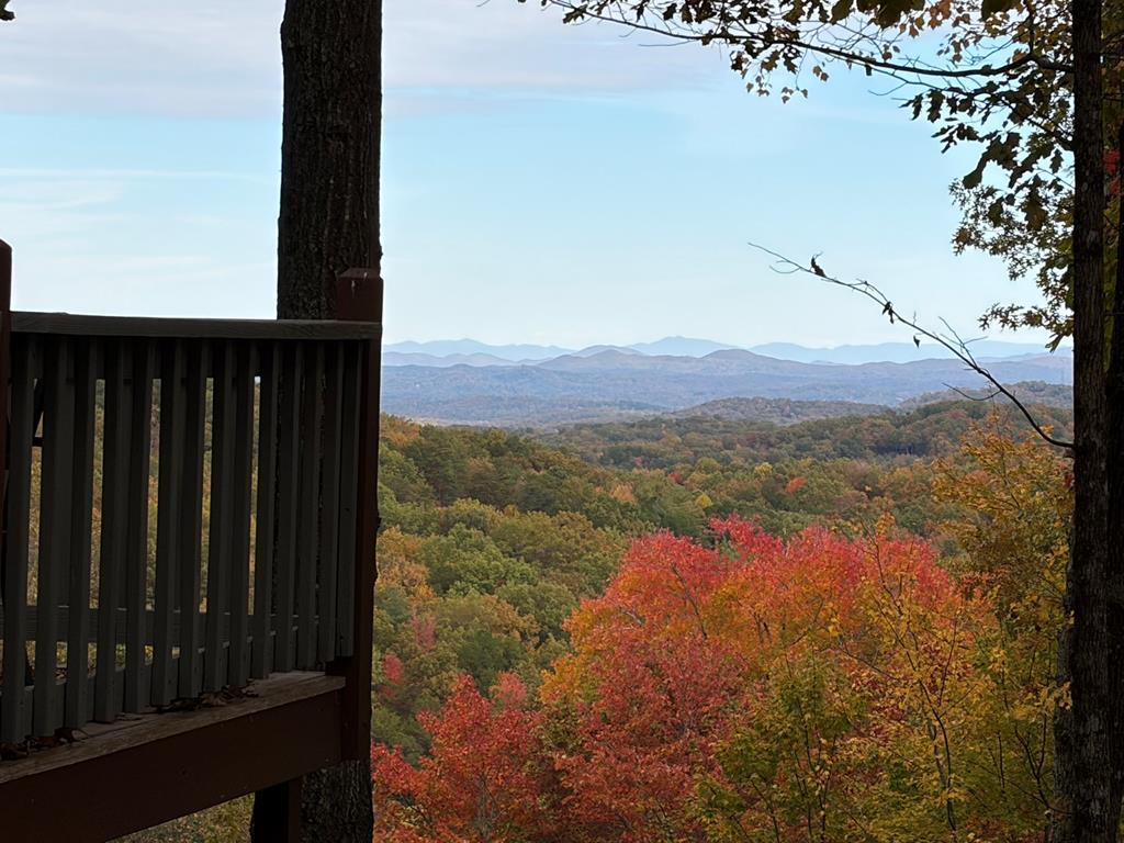 4.29-ac All Good Road Cherry Log, GA 30522 - Photo 9 of 9 a view of a terrace