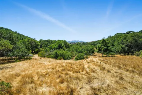 a view of a yard with a tree