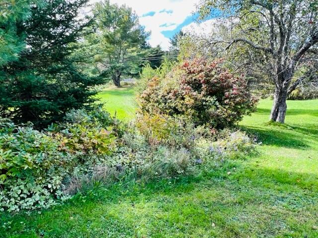 1023 Silver Lake Road Bucksport, ME 04416 - Photo 5 of 36 IMG_5890