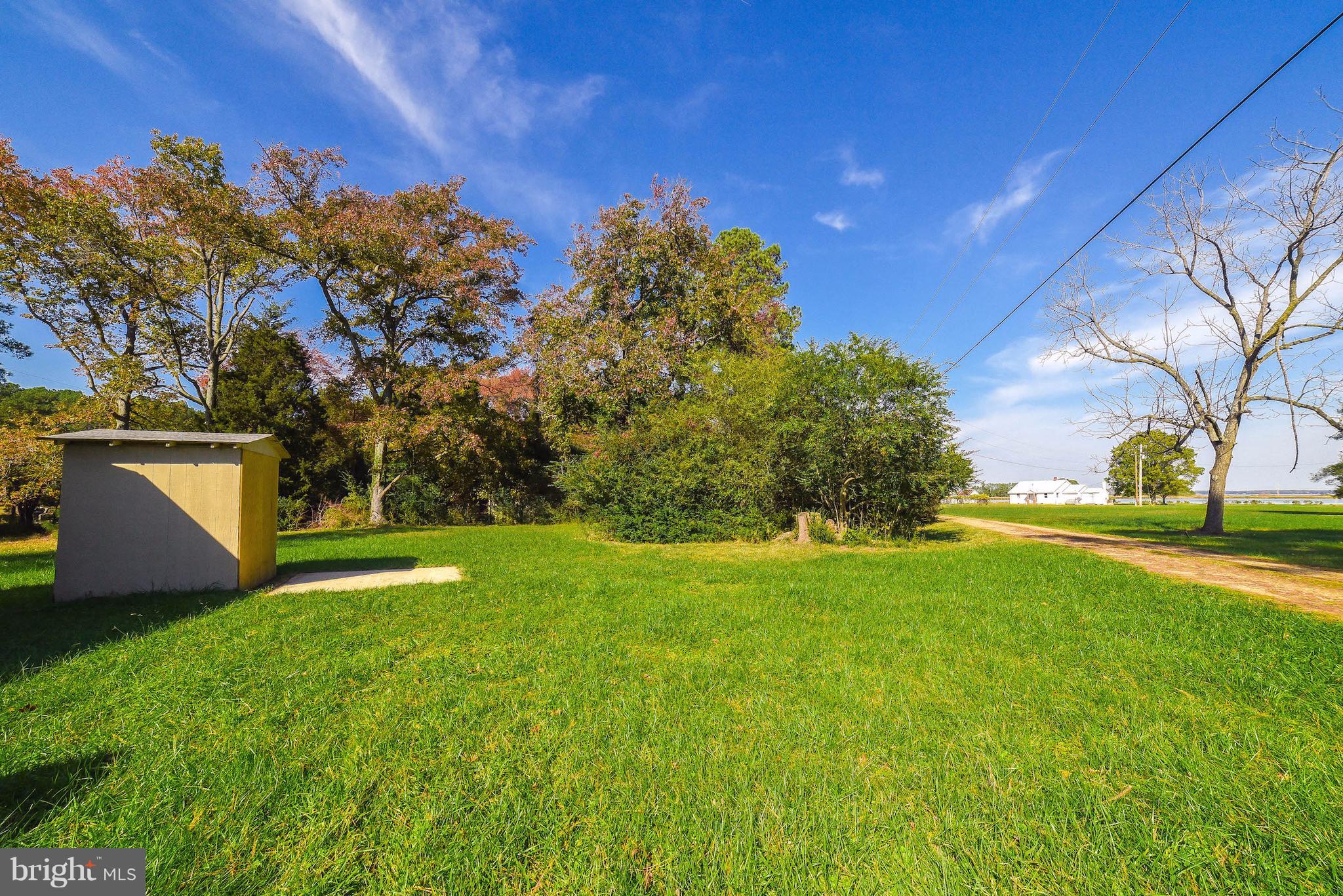 16100 Thomas Road Piney Point, MD 20674 - Photo 13 of 30 View of the yard