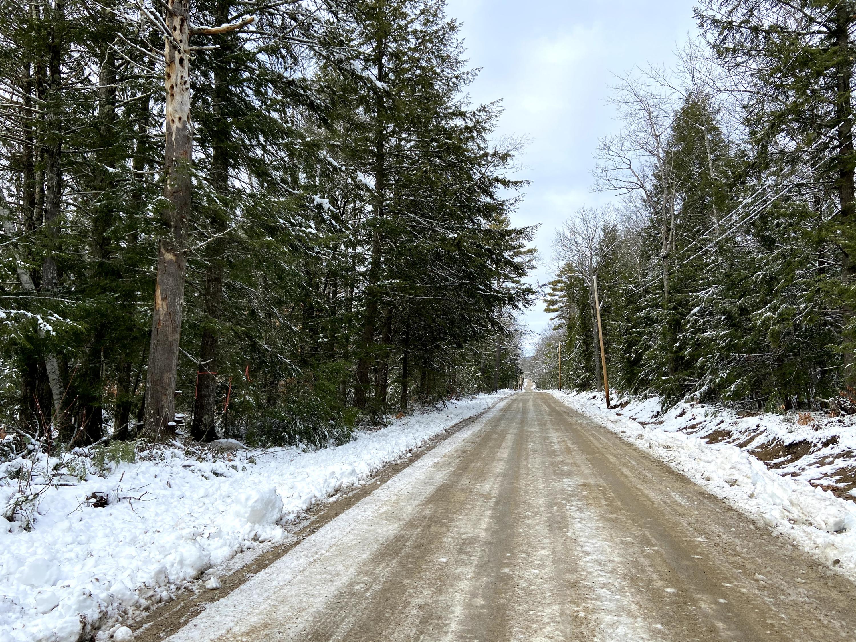 Lot 3 Pound Road Harrison, ME 04040 - Photo 1 of 7 IMG_0122