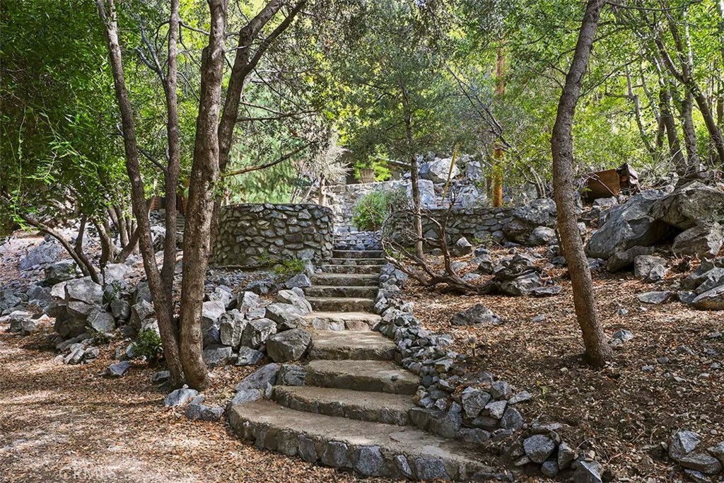 a view of a yard with large trees