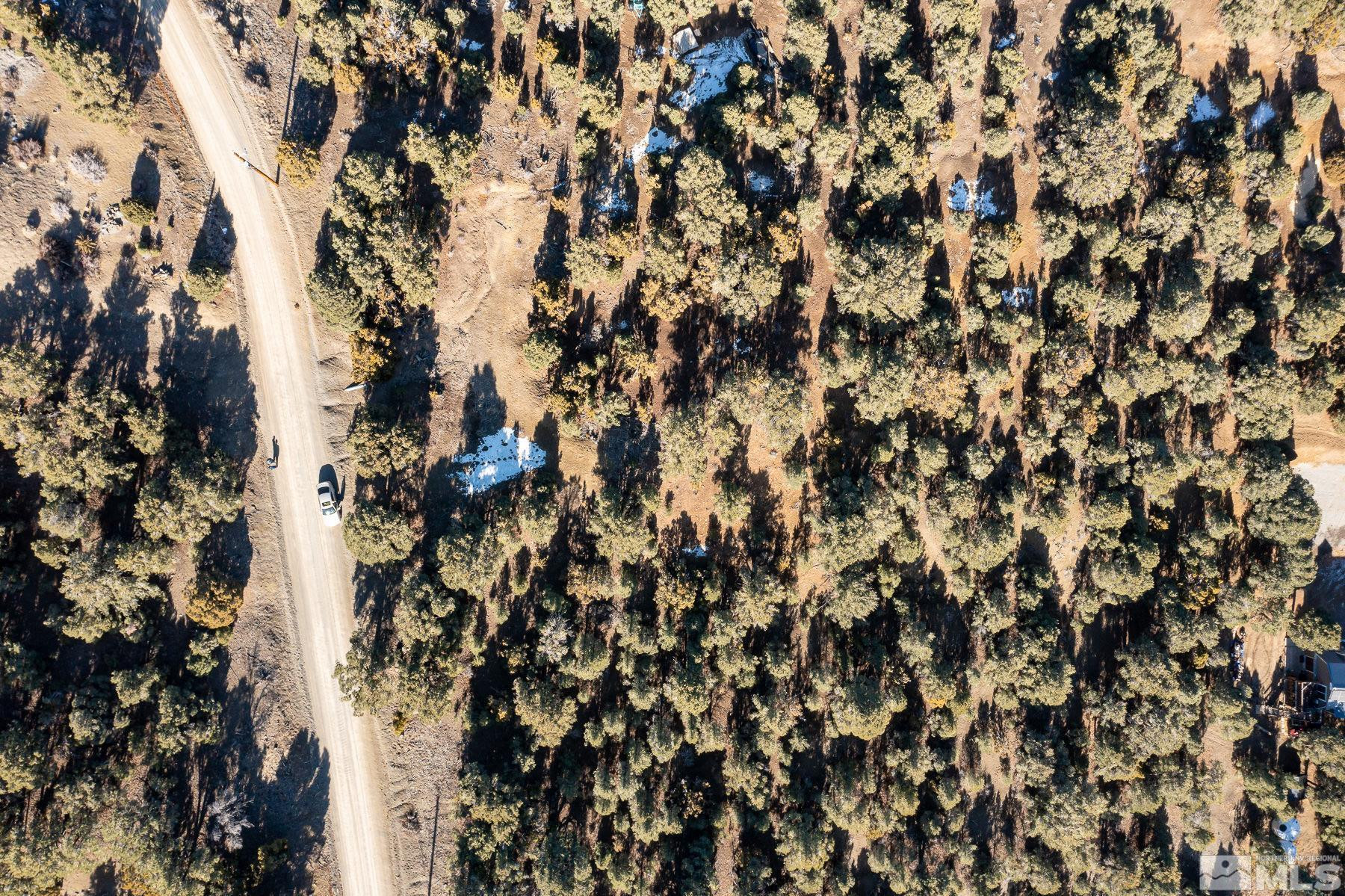 1801 Harte Road, Unit M100 Reno, NV 89521 - Photo 2 of 6 a view of tree