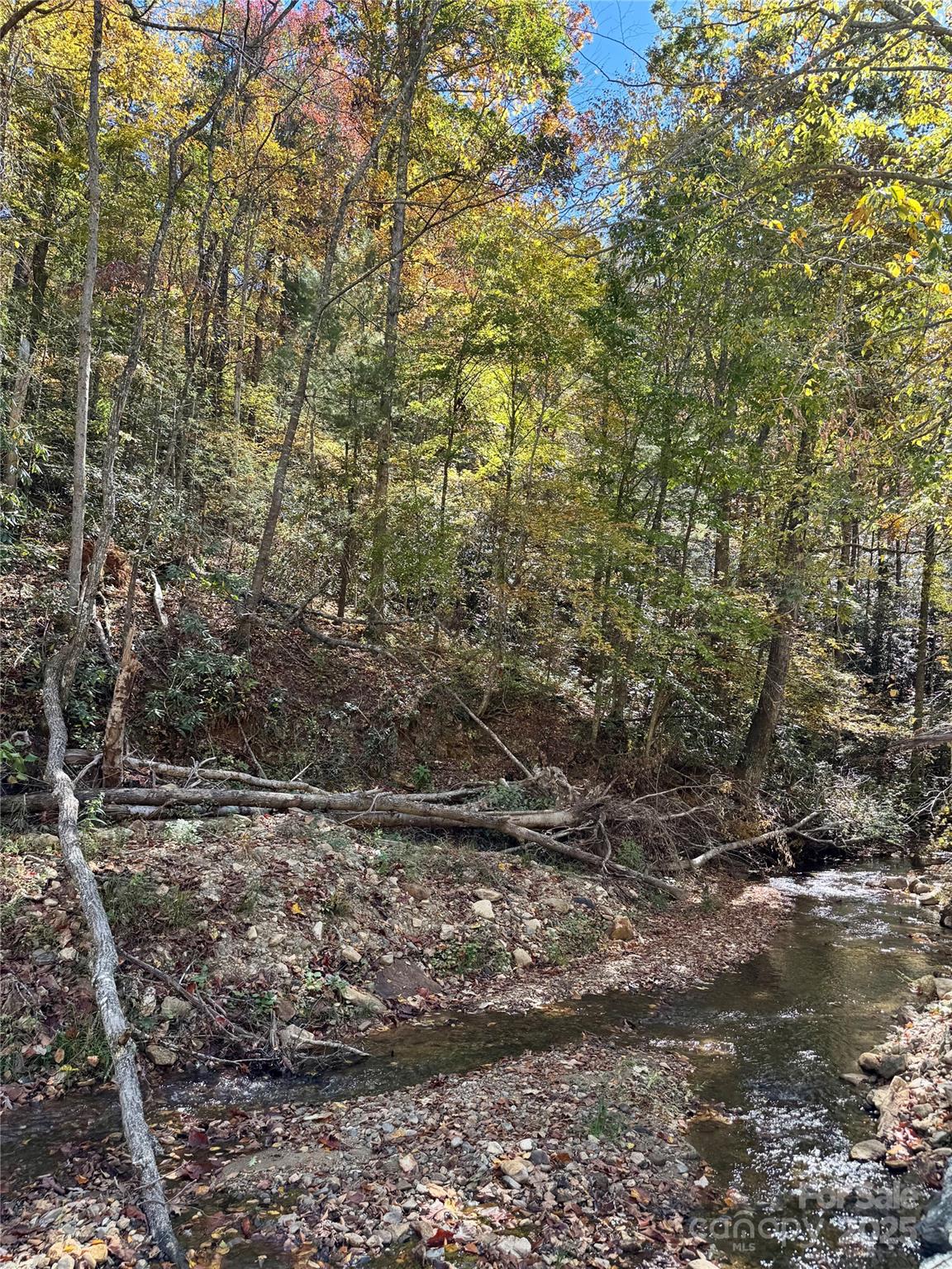 0 Low Gap Road Hendersonville, NC 28792 - Photo 1 of 5 Gallery Image 1