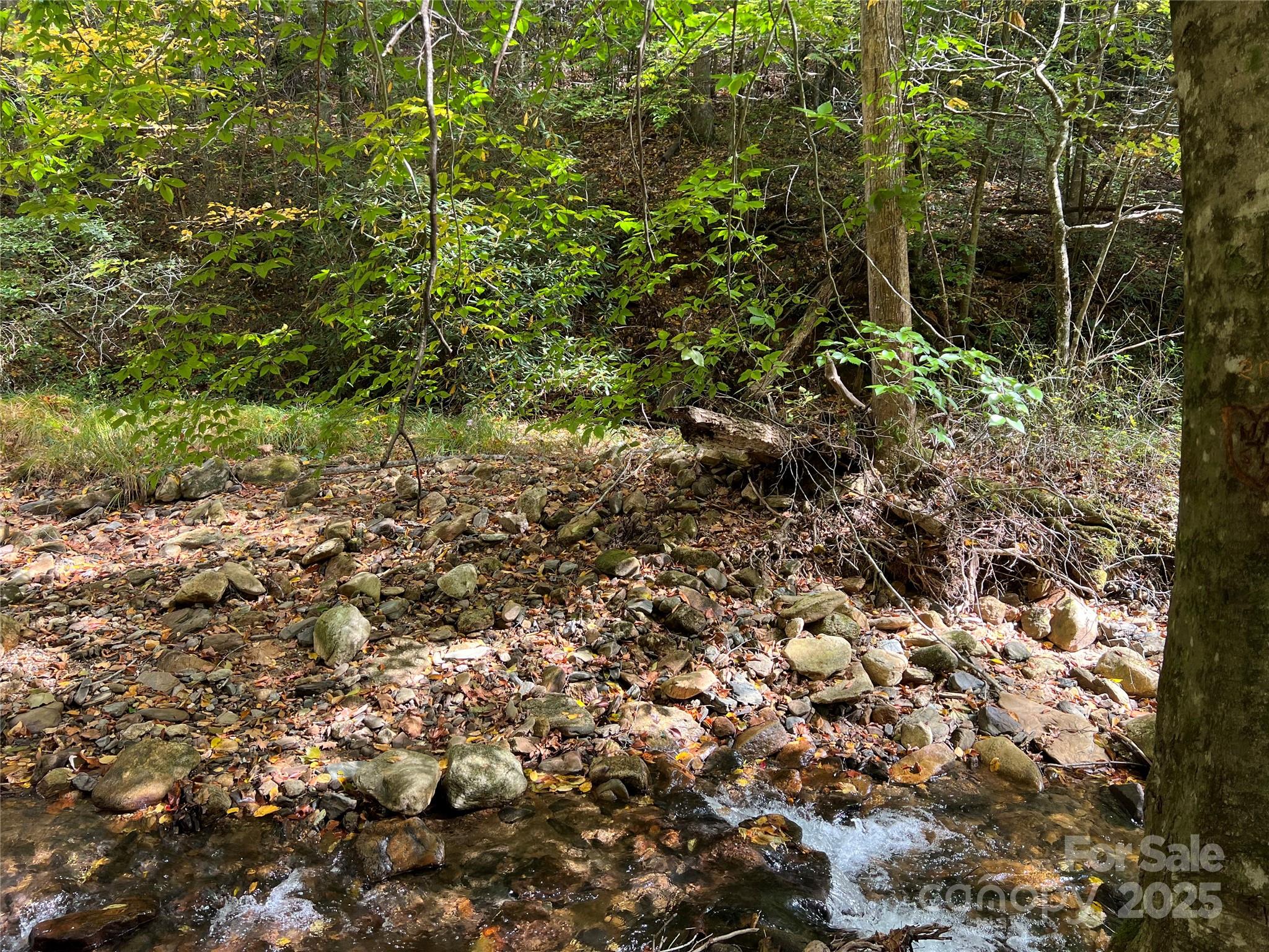 0 Low Gap Road Hendersonville, NC 28792 - Photo 2 of 5 Gallery Image 2