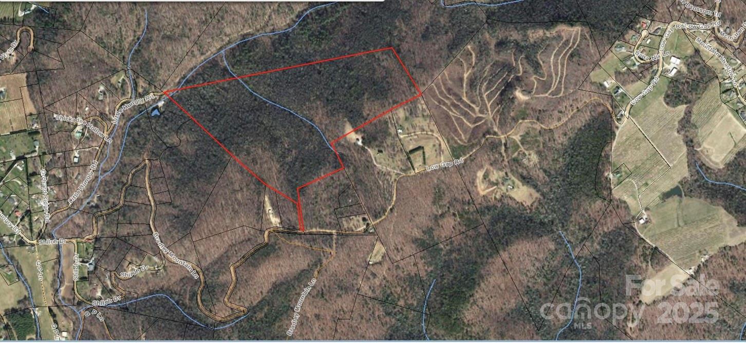0 Low Gap Road Hendersonville, NC 28792 - Photo 3 of 5 Gallery Image 3