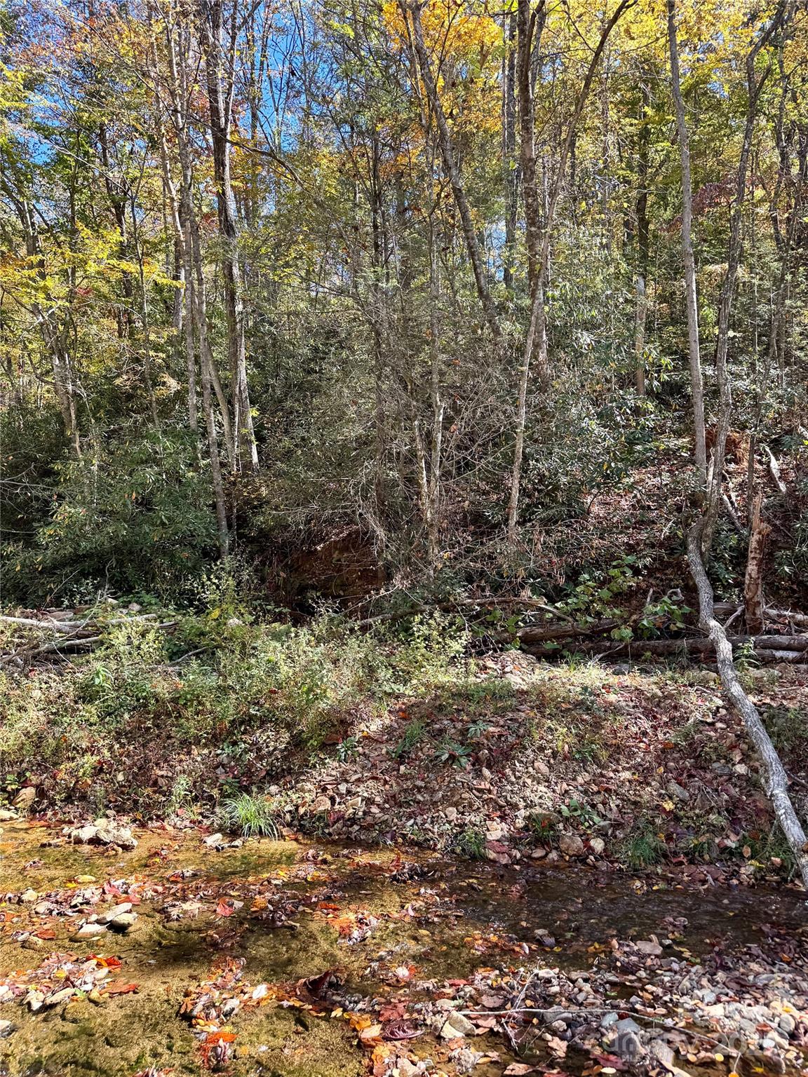 0 Low Gap Road Hendersonville, NC 28792 - Photo 4 of 5 Gallery Image 4