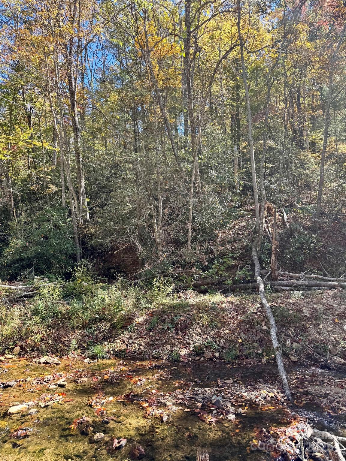 0 Low Gap Road Hendersonville, NC 28792 - Photo 5 of 5 Gallery Image 5