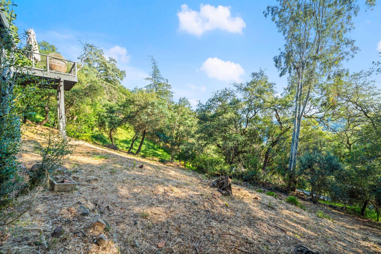 140 Rio Camino Street Auburn, CA 95603 - Photo 45 of 56 a view of a yard with plants and tree
