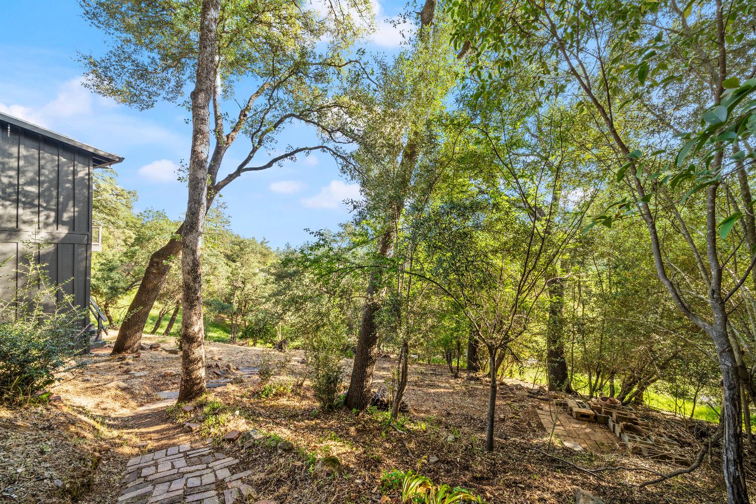 140 Rio Camino Street Auburn, CA 95603 - Photo 46 of 56 a view of outdoor space