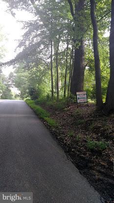 Wooded Lot