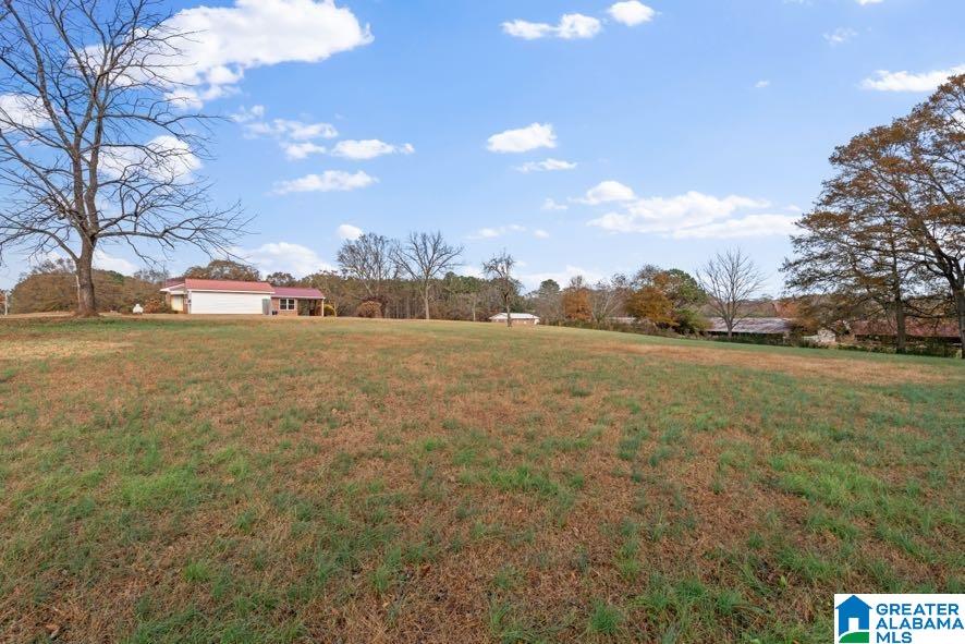 21984 Main Street Ranburne, AL 36273 - Photo 48 of 49 Gallery Image 48