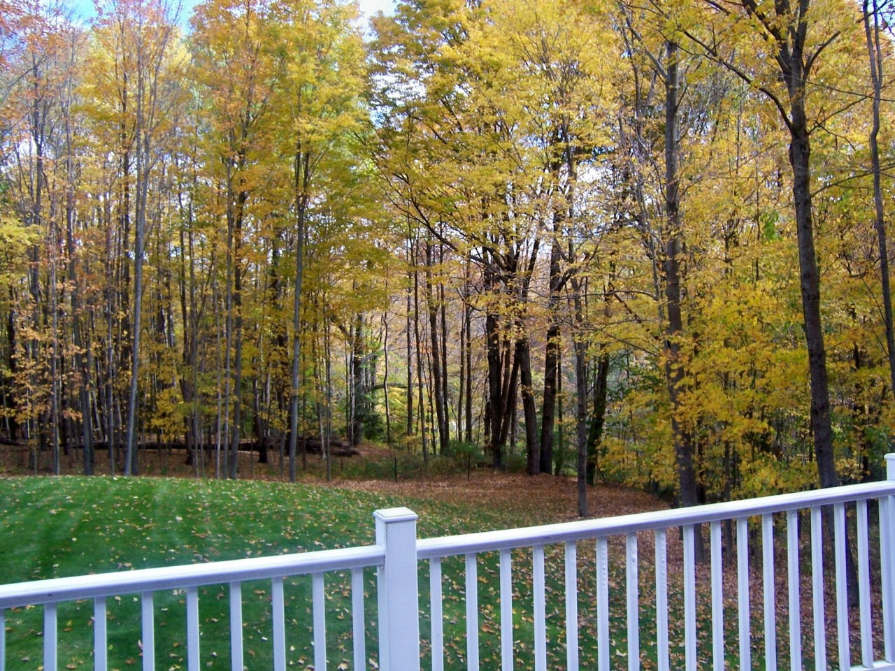 263 West Mountain Road Lenox, MA 01240 - Photo 3 of 30 Backyard