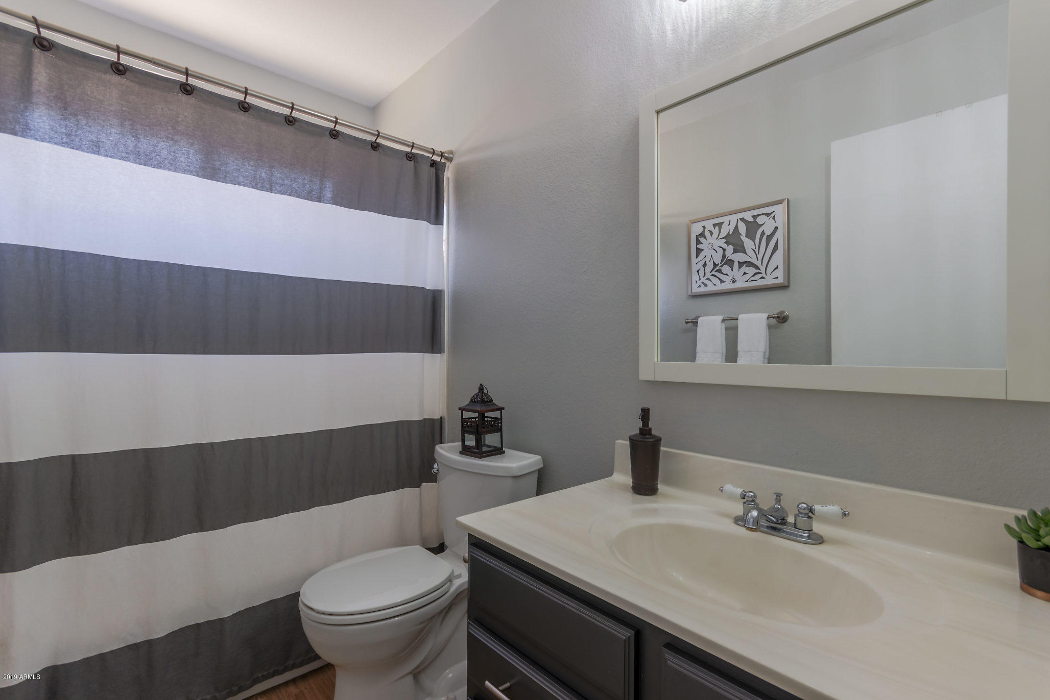 553 West Tumbleweed Road Gilbert, AZ 85233 - Photo 23 of 30 Hall Bath View