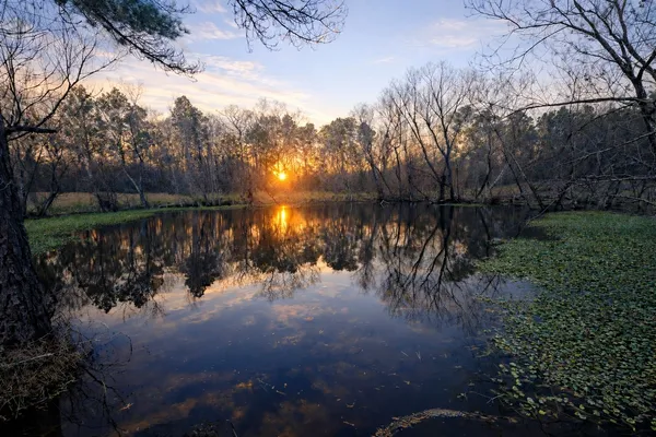 a view of a lake from a yard