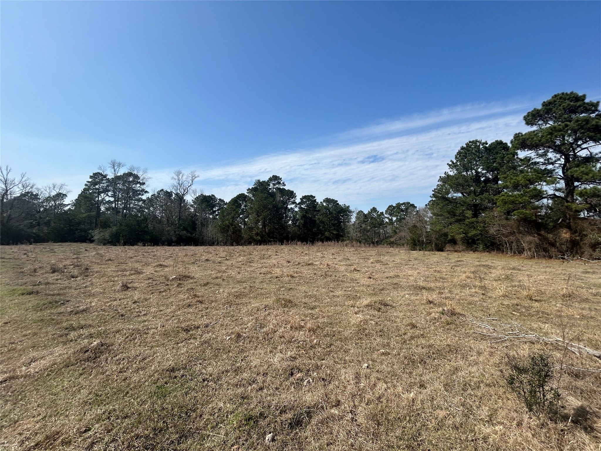 919 Pine Valley Road Diboll, TX 75941 - Photo 12 of 49 a view of lake and trees