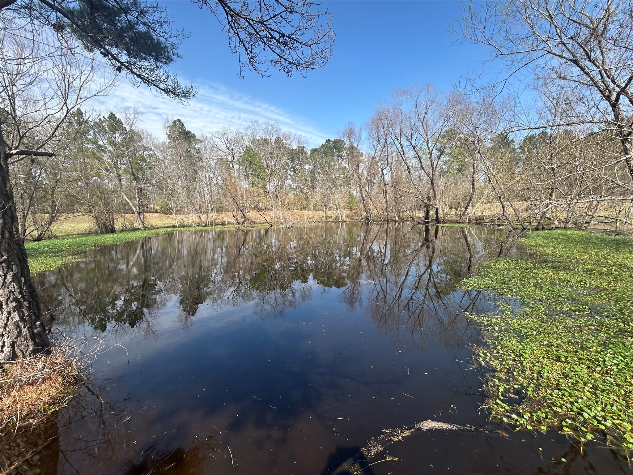919 Pine Valley Road Diboll, TX 75941 - Photo 13 of 49 a view of lake with a yard