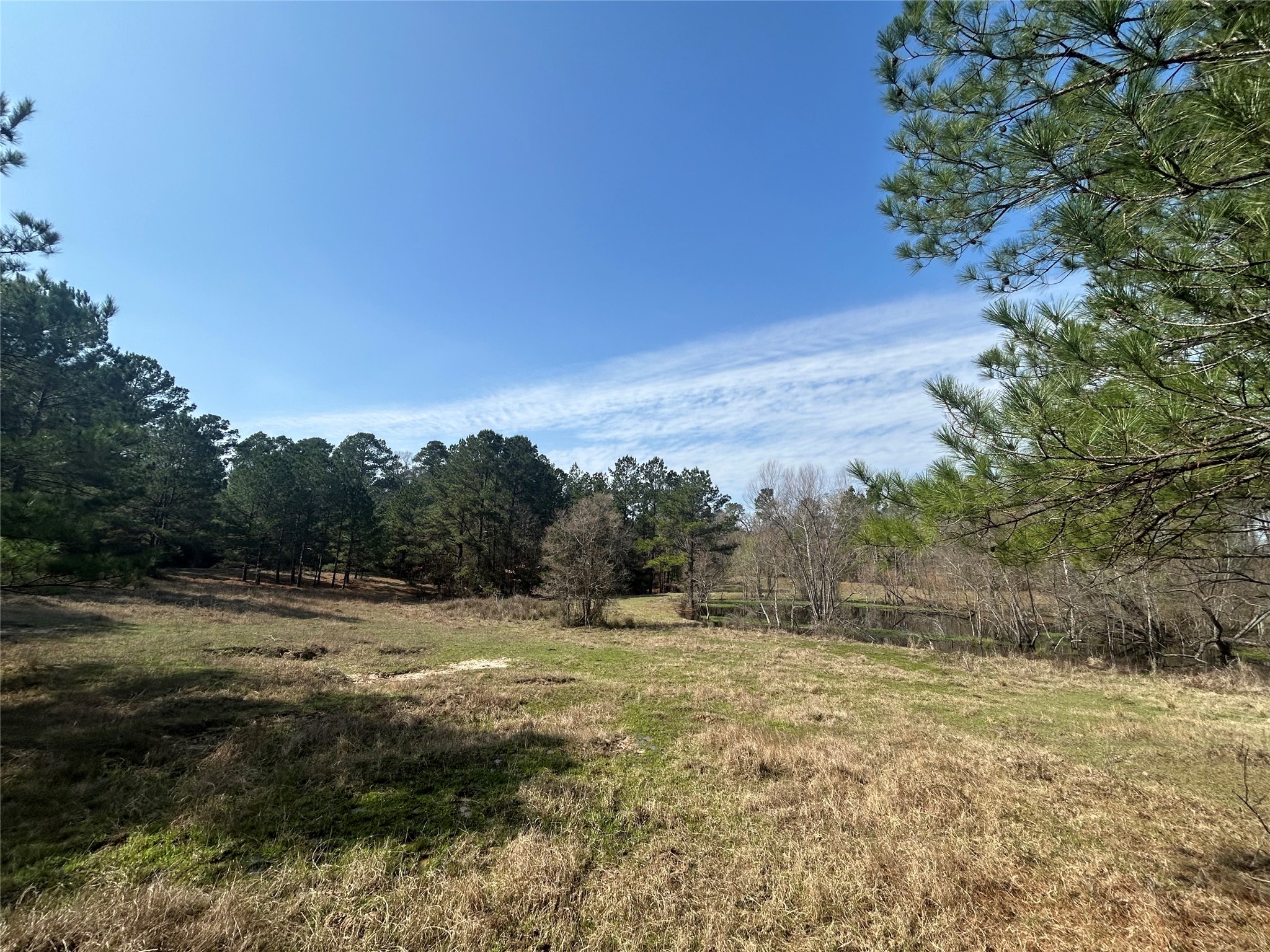 919 Pine Valley Road Diboll, TX 75941 - Photo 14 of 49 a view of a field with trees