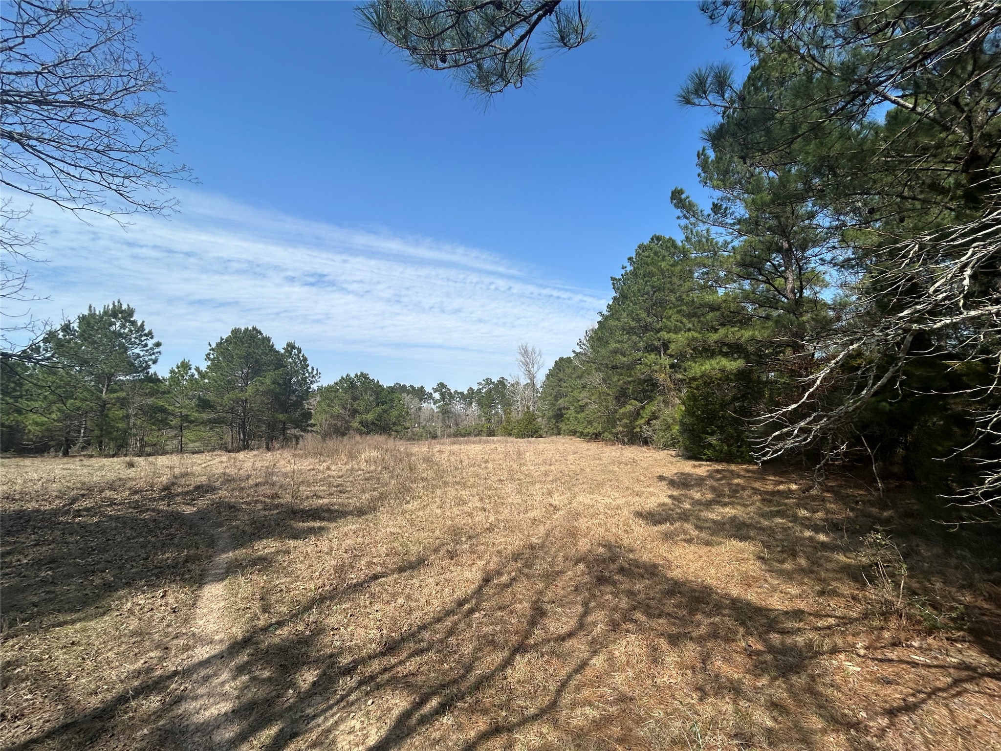 919 Pine Valley Road Diboll, TX 75941 - Photo 16 of 49 a view of an outdoor space and a yard