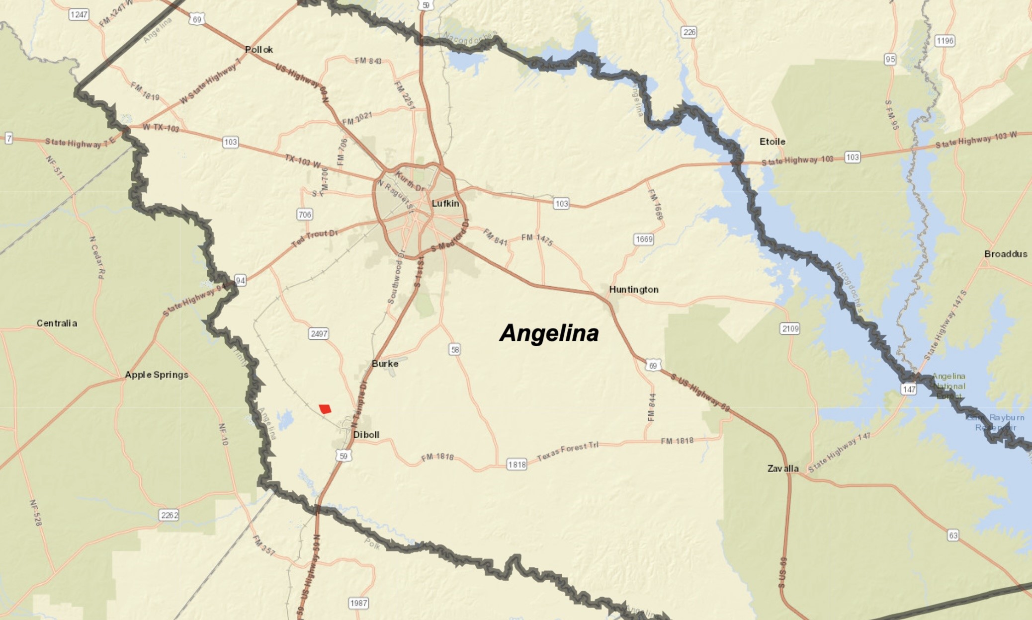 919 Pine Valley Road Diboll, TX 75941 - Photo 17 of 49 a white house with a white sky in the background