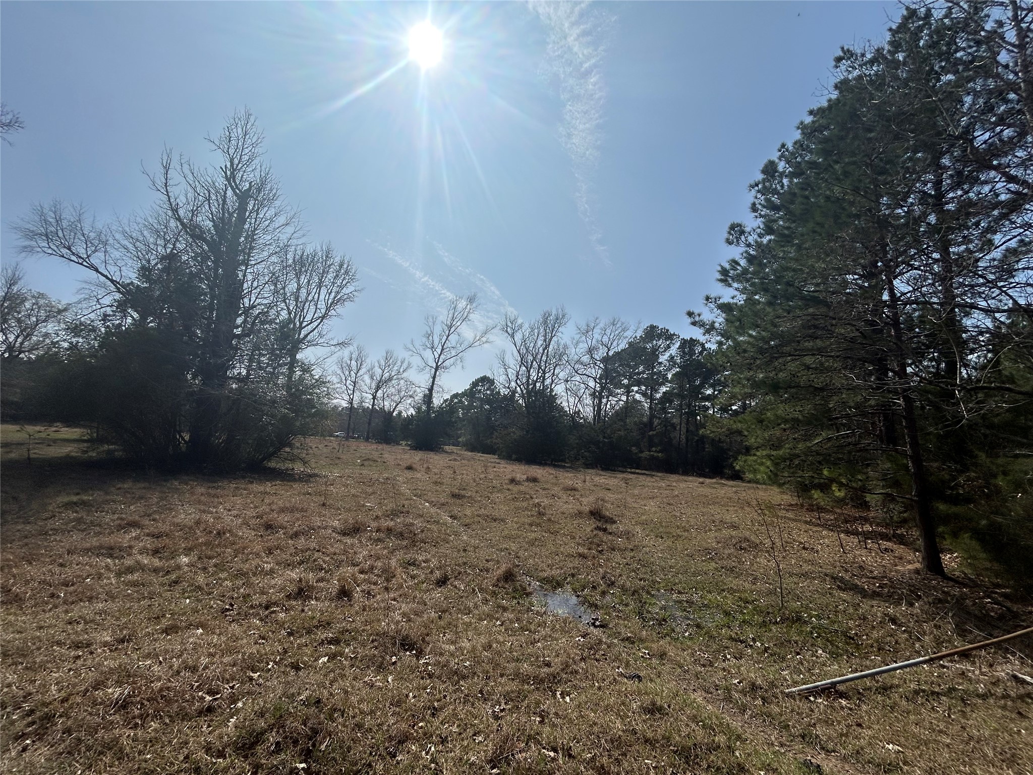919 Pine Valley Road Diboll, TX 75941 - Photo 19 of 49 a view of dirt field with trees in background