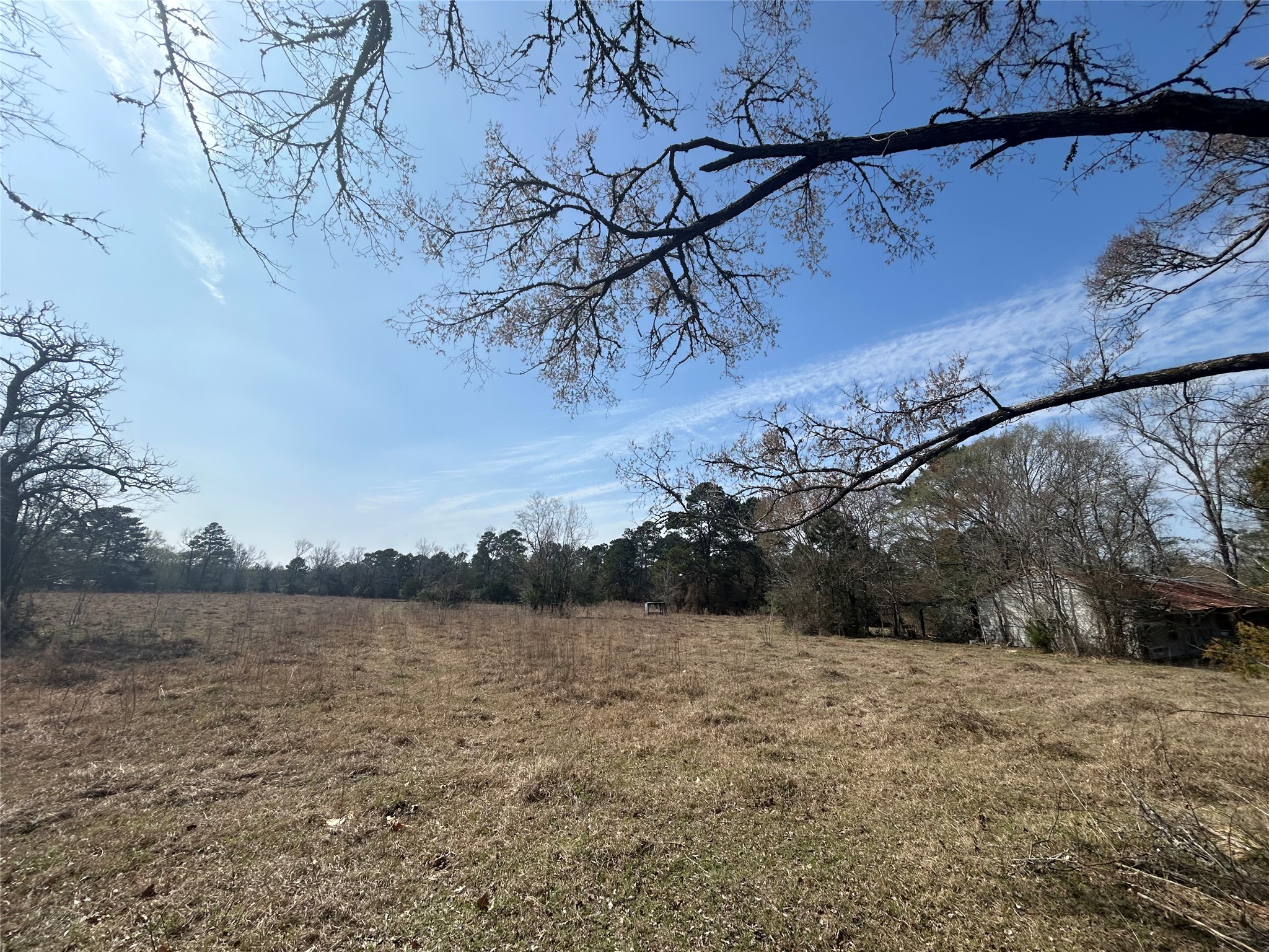 919 Pine Valley Road Diboll, TX 75941 - Photo 2 of 49 a view of lake and mountain