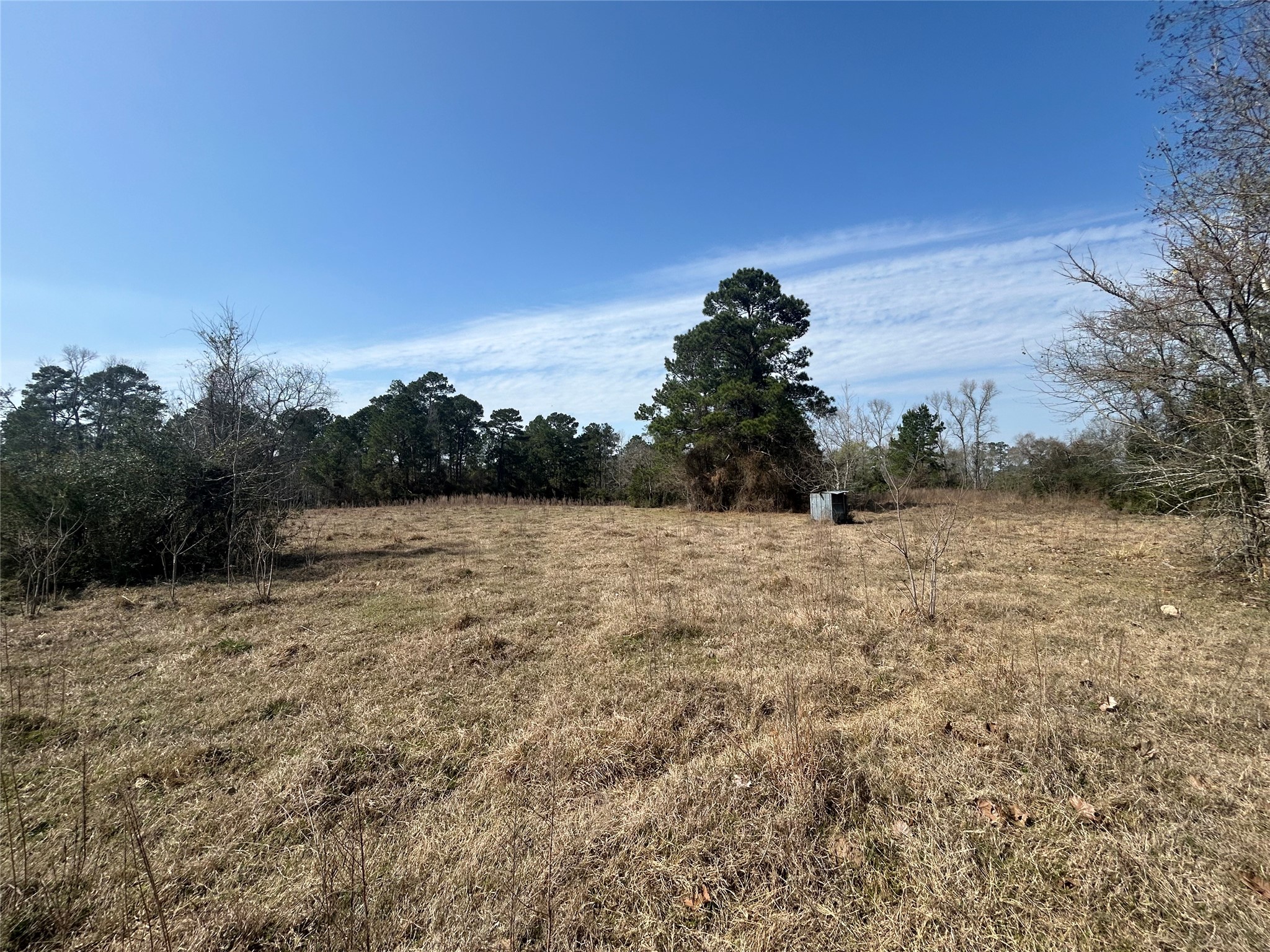 919 Pine Valley Road Diboll, TX 75941 - Photo 22 of 49 a view of a yard with trees in the background