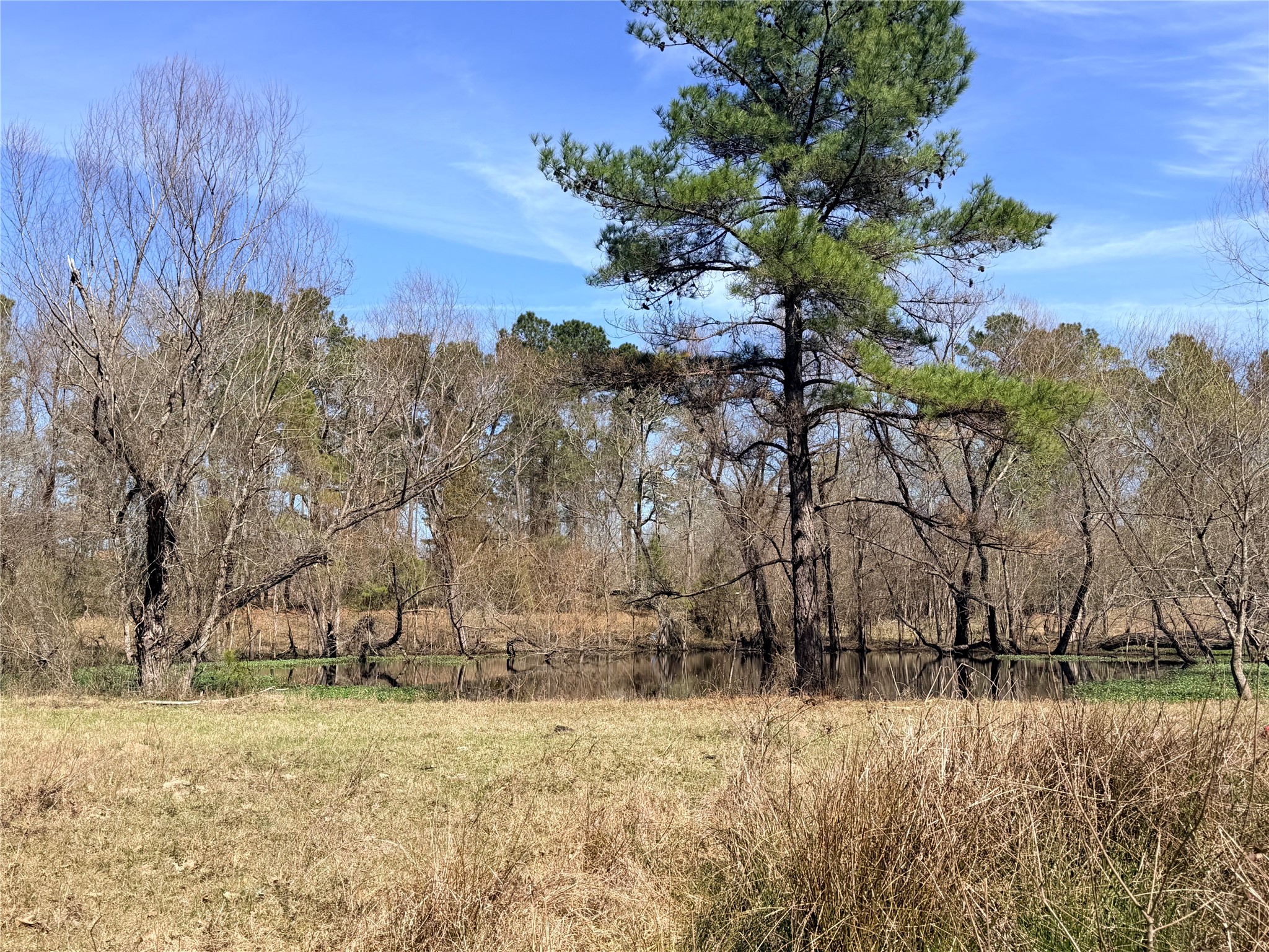 919 Pine Valley Road Diboll, TX 75941 - Photo 24 of 49 a view of a yard covered with snow in front of house