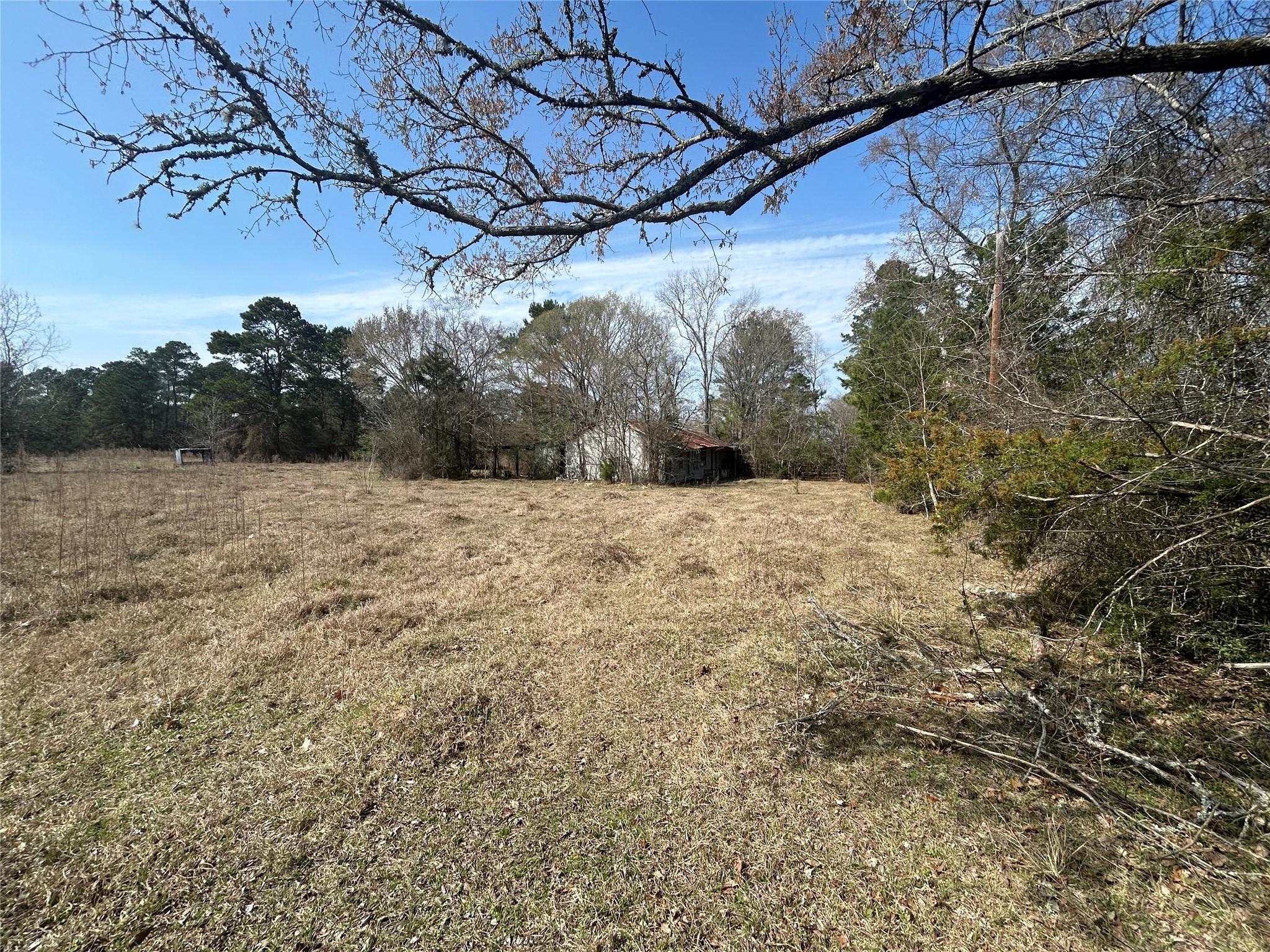 919 Pine Valley Road Diboll, TX 75941 - Photo 26 of 49 a view of a dry yard