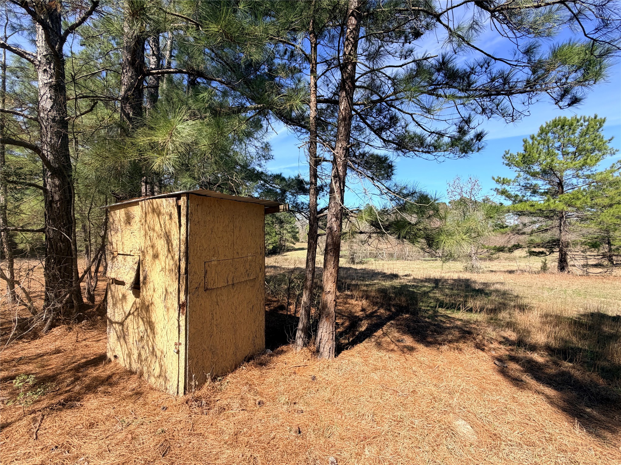 919 Pine Valley Road Diboll, TX 75941 - Photo 3 of 49 a view of a yard covered with snow in the background