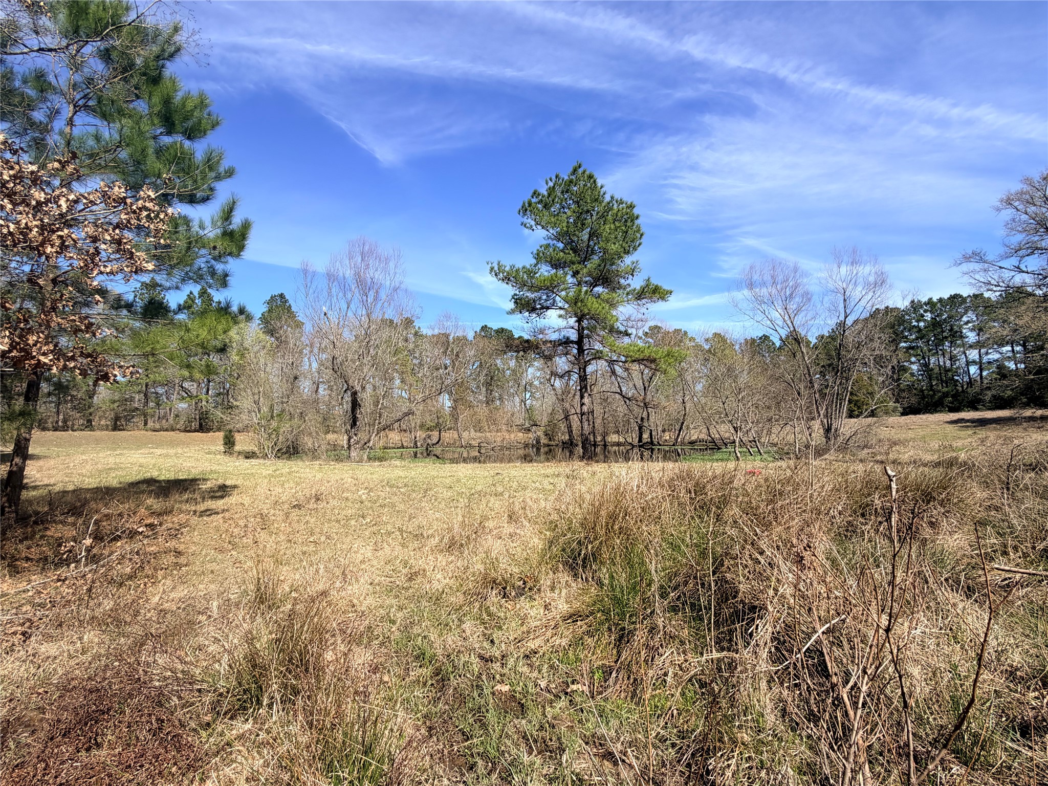 919 Pine Valley Road Diboll, TX 75941 - Photo 31 of 49 a view of large yard with large trees