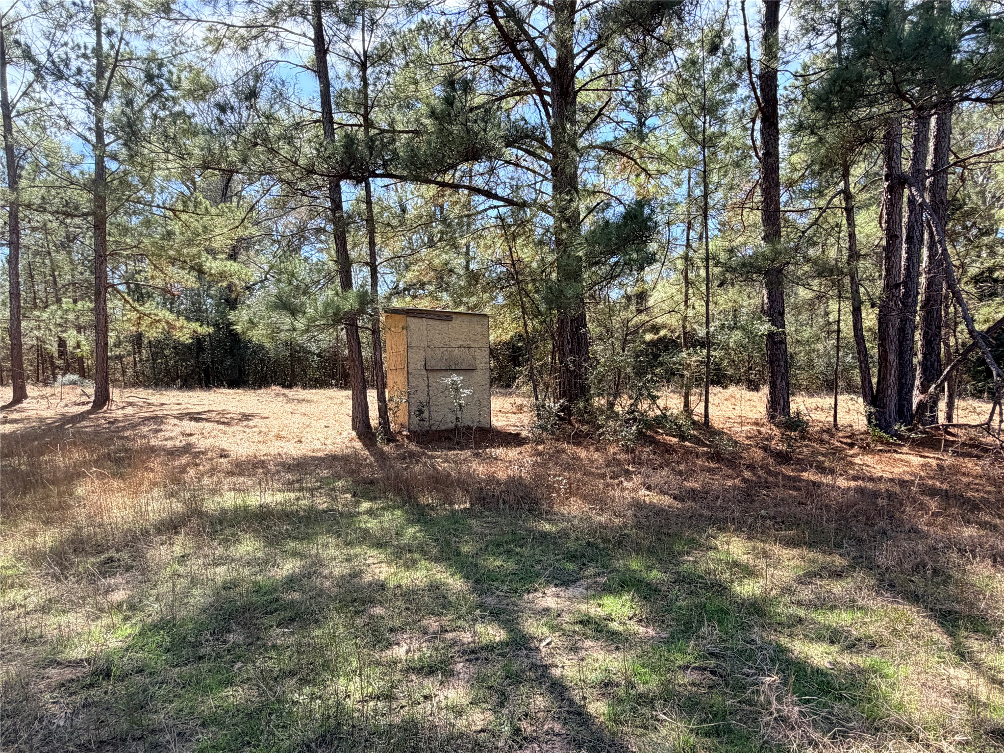 919 Pine Valley Road Diboll, TX 75941 - Photo 32 of 49 a view of a outdoor space with trees