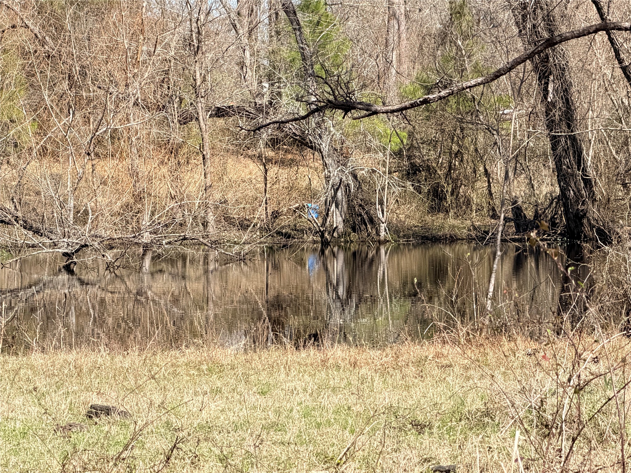 919 Pine Valley Road Diboll, TX 75941 - Photo 34 of 49 a view of lake