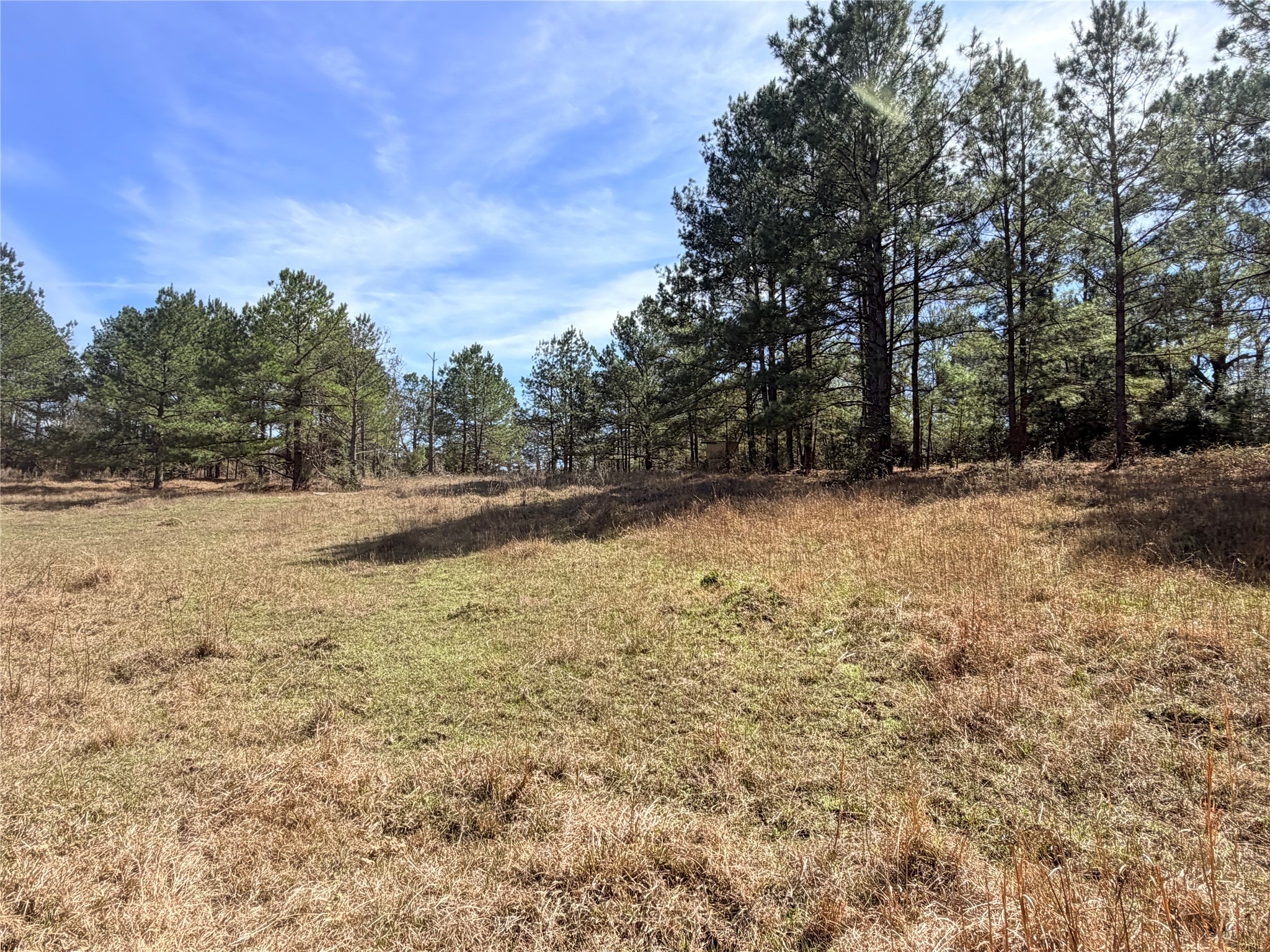 919 Pine Valley Road Diboll, TX 75941 - Photo 35 of 49 a view of outdoor space with trees