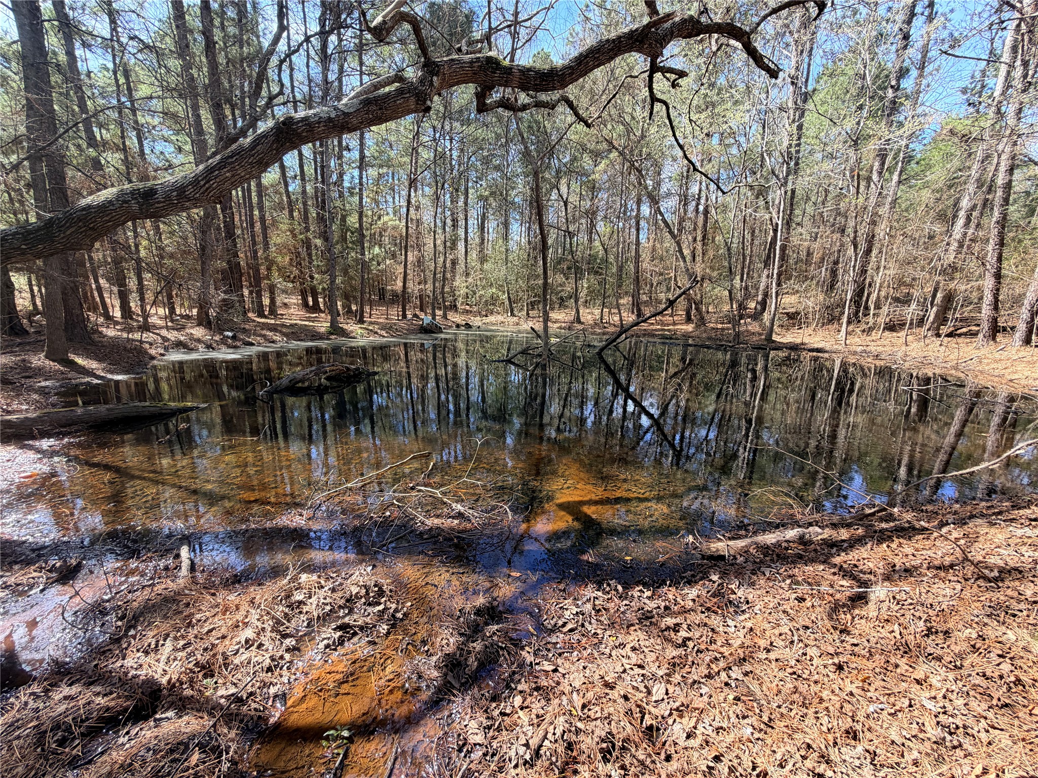 919 Pine Valley Road Diboll, TX 75941 - Photo 40 of 49 a view of swimming pool with a yard and sitting area