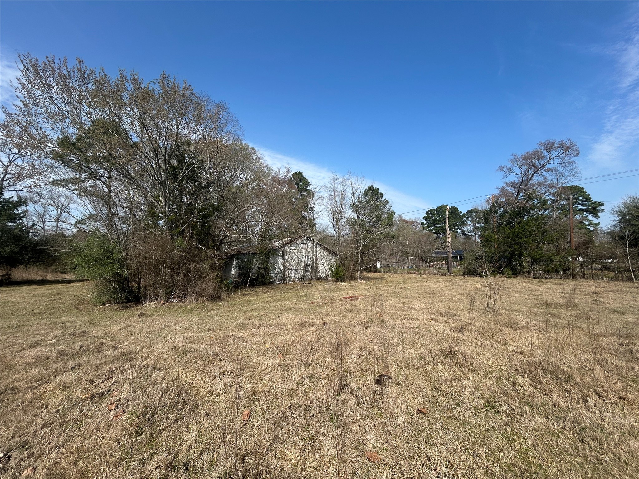 919 Pine Valley Road Diboll, TX 75941 - Photo 4 of 49 a view of outdoor space and tree